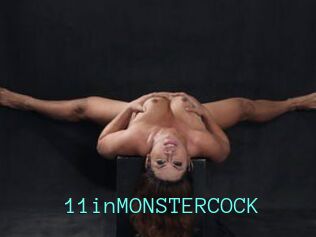 11inMONSTERCOCK