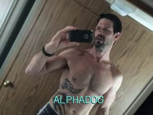 ALPHADOG