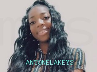 ANTONELAKEYS