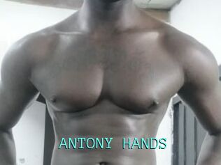 ANTONY_HANDS