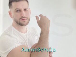 AaronSchulz