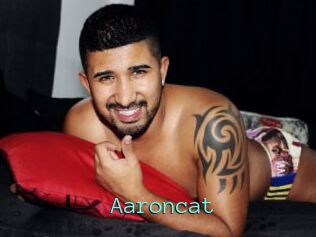 Aaroncat