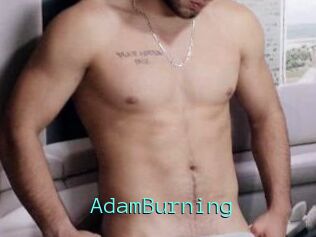 AdamBurning