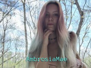AmbrosiaMae