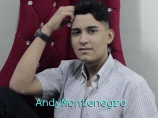 AndyMontenegro
