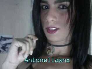 Antonellaxnx