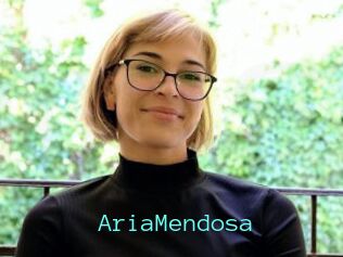 AriaMendosa