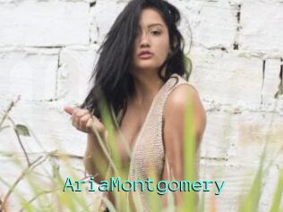 AriaMontgomery