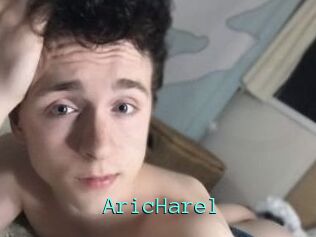 Aric_Harel