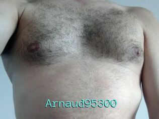 Arnaud95300