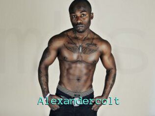Alexandercolt