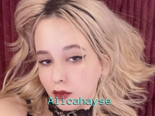Alicahayse