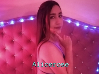 Alicerose