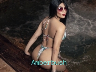 Amberbush