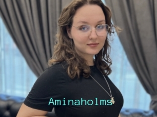 Aminaholms