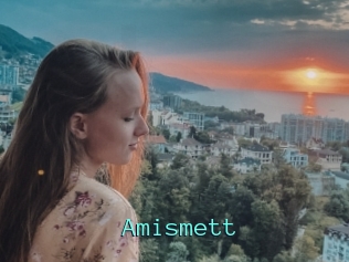 Amismett
