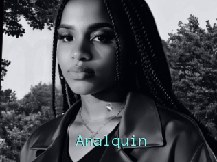 Analquin