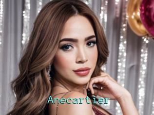 Anecartier