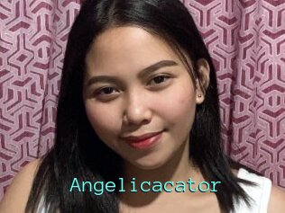 Angelicacator