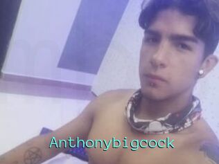 Anthonybigcock