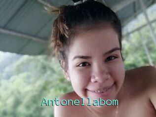 Antonellabom