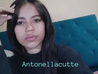 Antonellacutte