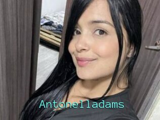 Antonelladams
