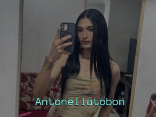 Antonellatobon