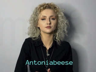 Antoniabeese