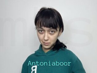 Antoniaboor