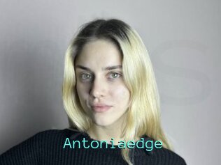 Antoniaedge