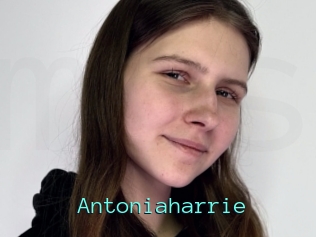 Antoniaharrie