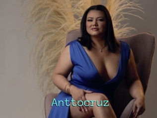 Anttocruz