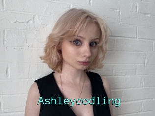 Ashleycodling