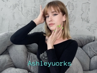 Ashleyuorks