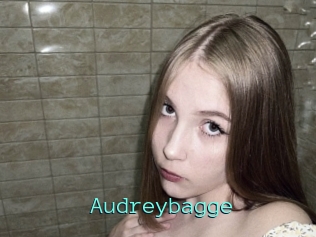 Audreybagge