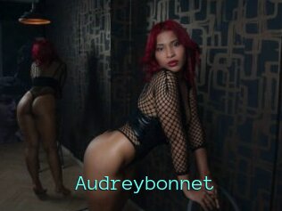 Audreybonnet