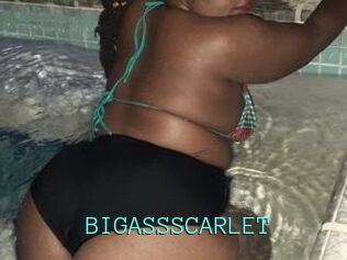 BIGASSSCARLET