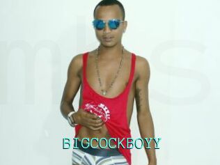 BIGCOCKBOYY