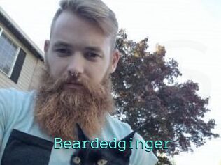 Beardedginger