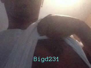 Bigd231