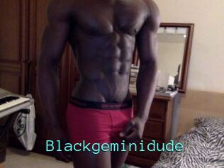 Blackgeminidude