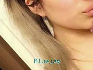Blue_jay