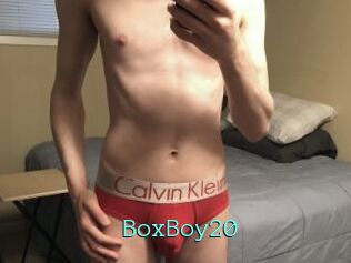 BoxBoy20