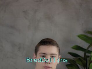 BredCollins