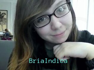 BriaIndica