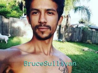 Bruce_Sullivan