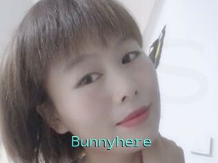 Bunnyhere