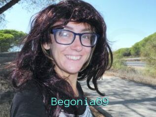 Begonia69