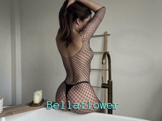 Bellaflower